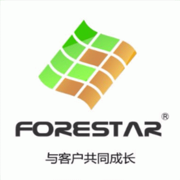 【华林化工】广西华林化工有限公司招聘：公司标志 logo