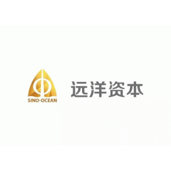 【远洋金象大数据】广西远洋金象大数据有限公司招聘：公司标志 logo