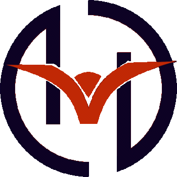 深圳鸿鹄电子商务集团有限公司广西分公司招聘：公司标志 logo