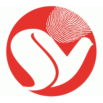 【深意知识产权运营】广西深意知识产权运营有限公司招聘：公司标志 logo