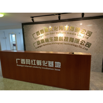 【秦巢文化传媒】广西秦巢文化传媒有限公司招聘：公司标志 logo