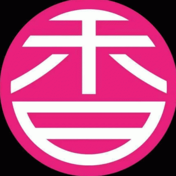 桂林市七星区香他她煲仔饭招聘：公司标志 logo