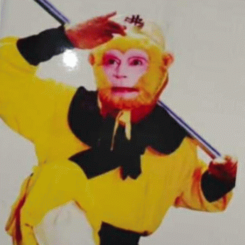 【湖南众一行旅游发展】湖南众一行旅游发展有限公司招聘：公司标志 logo