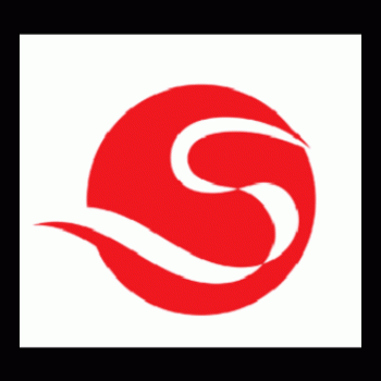 桂林顺论文化传媒有限公司招聘：公司标志 logo