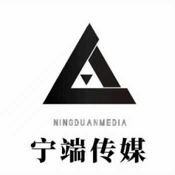 南宁宁端文化传播有限公司招聘：公司标志 logo