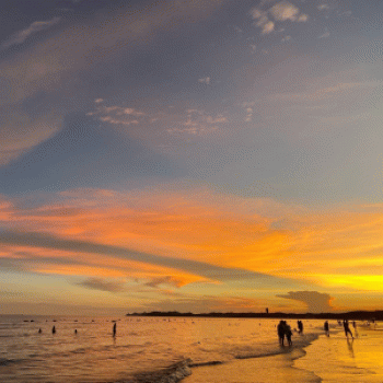 【七尺公餐饮】广西七尺公餐饮管理有限公司招聘：公司标志 logo