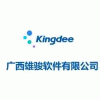 广西雄骏软件有限公司招聘：公司标志 logo