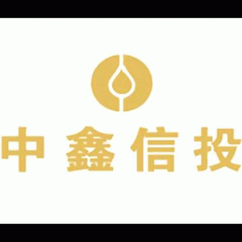 【中鑫信投企业】成都中鑫信投企业管理有限公司南宁分公司招聘：公司标志 logo