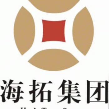 【龙速星房地产代理】南宁龙速星房地产代理有限公司招聘：公司标志 logo