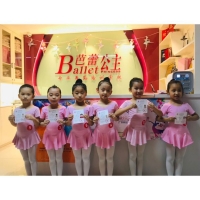 【芭蕾公主】南宁市青秀区芭蕾公主舞蹈培训学校招聘：公司标志 logo