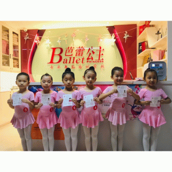 【芭蕾公主】南宁市青秀区芭蕾公主舞蹈培训学校招聘：公司标志 logo