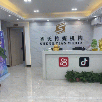 【圣天科技企业孵化】广西圣天科技企业孵化有限公司招聘：公司标志 logo