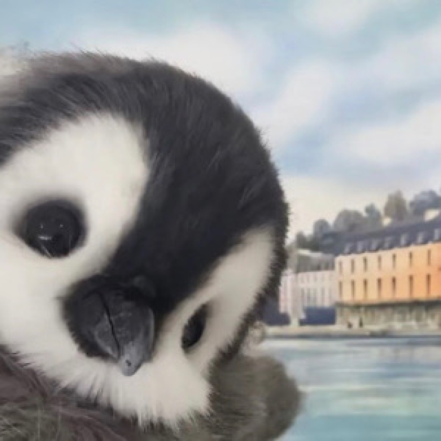 南寧市西鄉塘區啊廖網絡傳媒工作室招聘：公司標志 logo