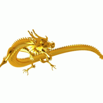 【龙物流公司】南宁市金昌龙货运服务部招聘：公司标志 logo