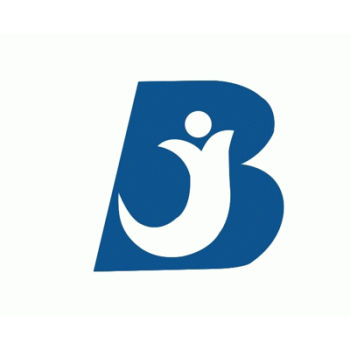 广西霸裕建筑劳务有限公司招聘：公司标志 logo