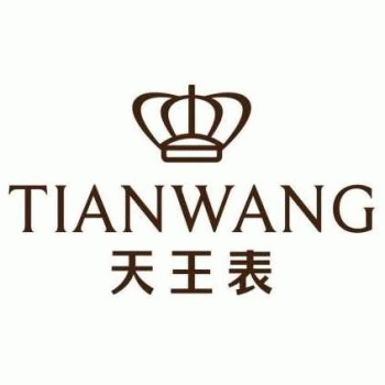 【天王电子】天王电子（深圳）有限公司招聘：公司标志 logo